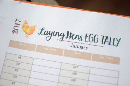 Organizing Our Homestead in 2017 Image